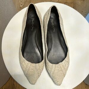 Elizabeth and James pointed flats 9.5. Fair condition